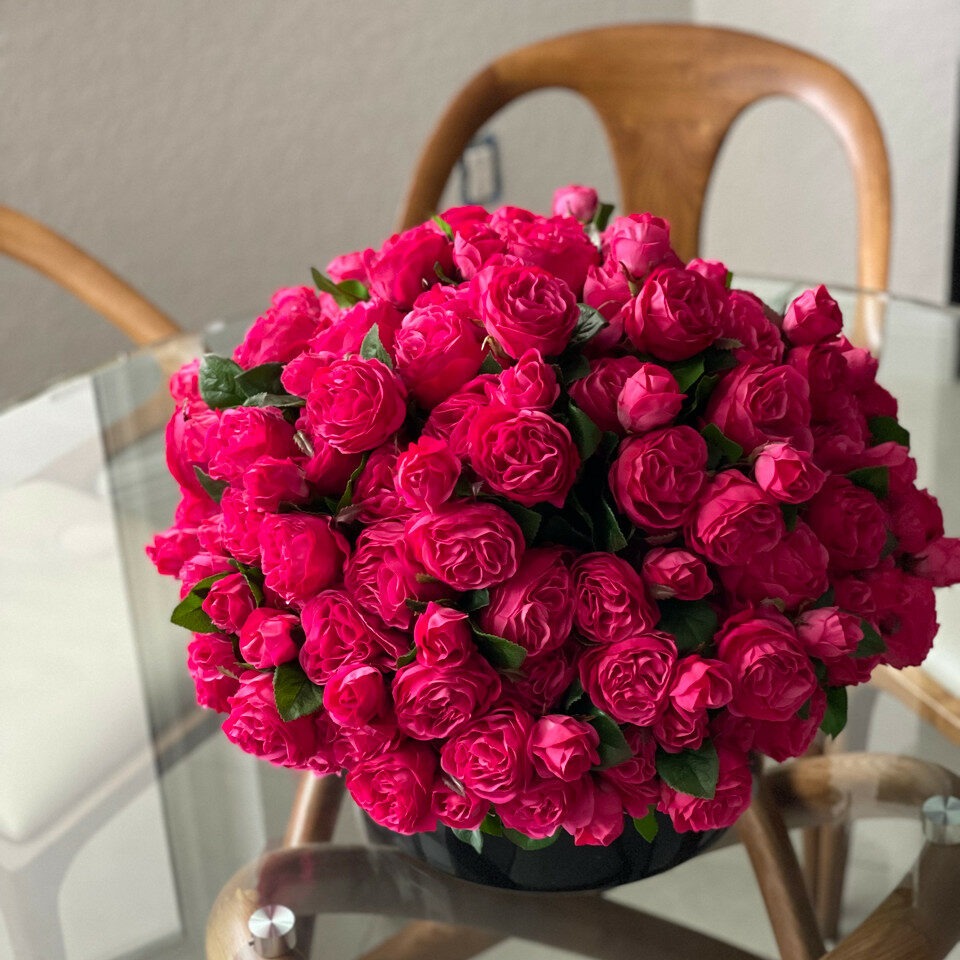 Rosas inglesas rosa escuro em vaso de vidro preto