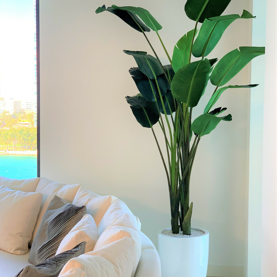 Bird of Paradise de 9 pés com Ben Planter em branco brilhante