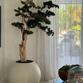 Trilhando bonsai em globo bege acetinado de 30 "